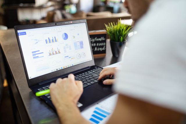 a person looking at a laptop with data